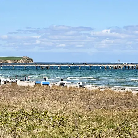 Amazing In Apartament