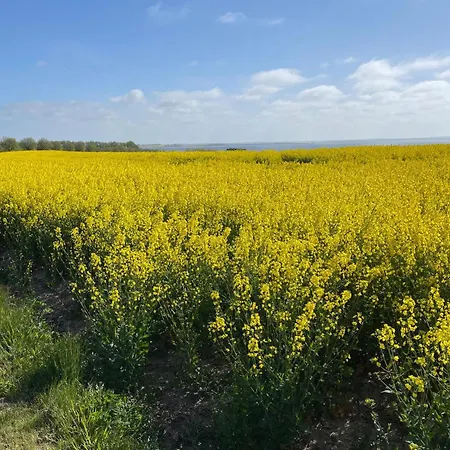 Apartament Amazing In *